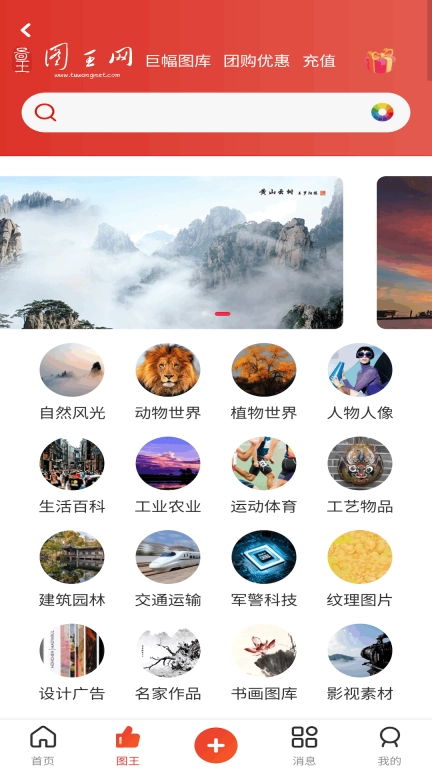 图王