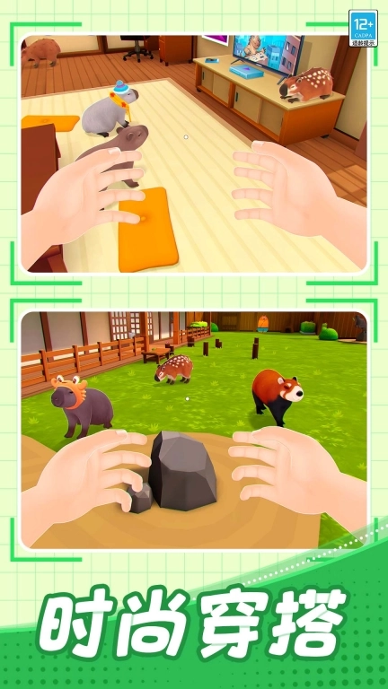 宠物养成记