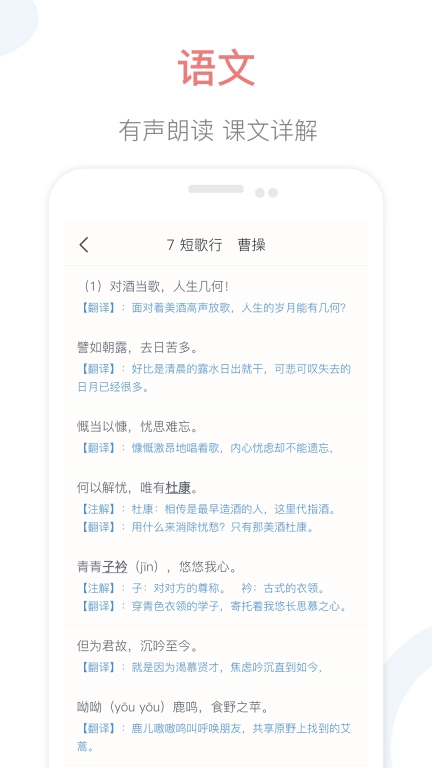 掌上高中