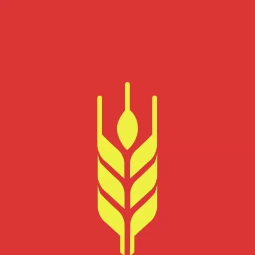 麦芒