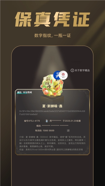 巽风数字世界