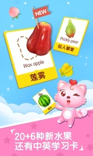猫小帅水果拼盘-益智早教