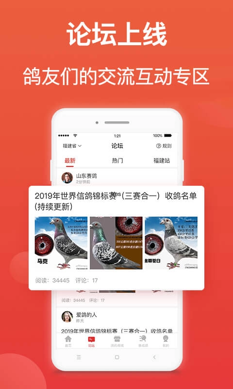 搜鸽天下-赛鸽头条重磅升级