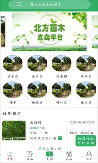 苗木直卖