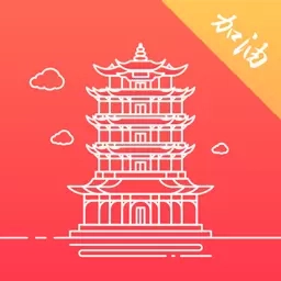 数字武汉