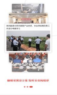 冀云武强
