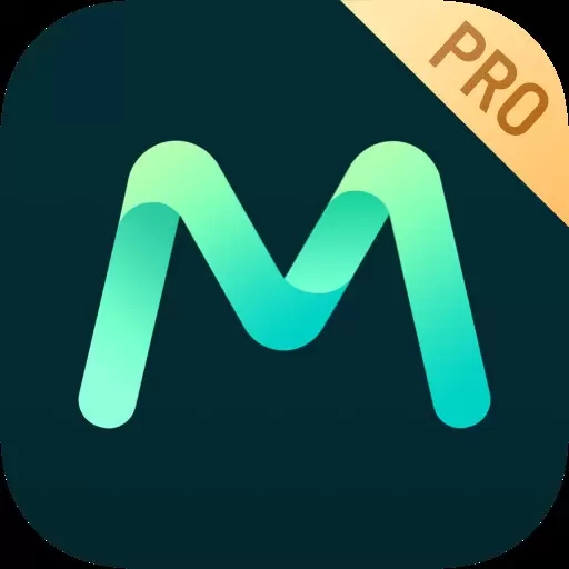 MshowPro-做更专业的导播