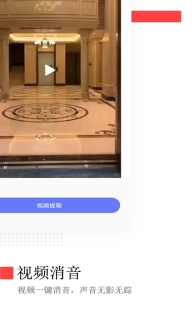 荣发视频去水印免费