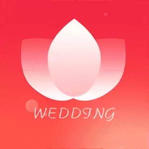 汇美婚礼软件