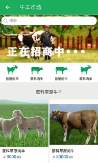 三农羊倌