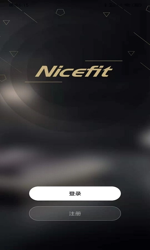 耐思菲特