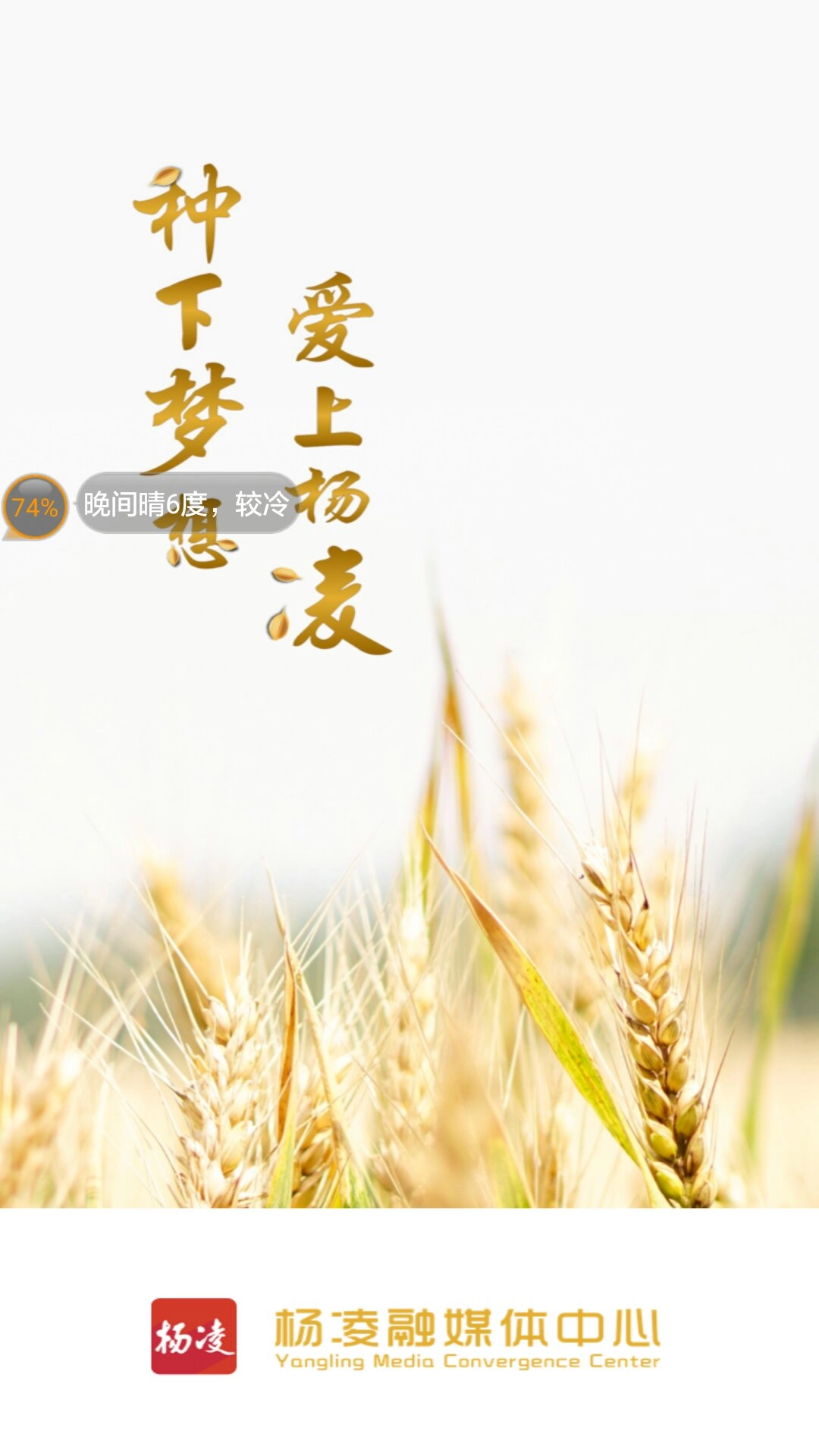 爱杨凌
