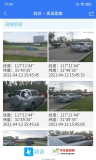 鸽派监赛版