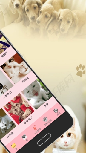人猫狗交流器-动物翻译