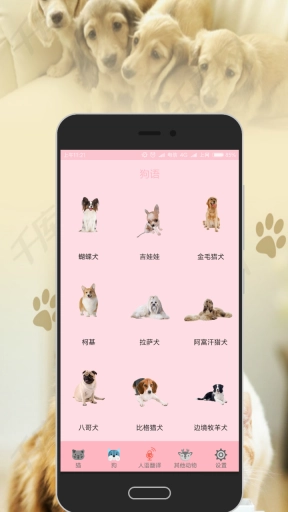 人猫狗交流器-动物翻译
