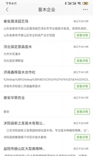 597苗木网