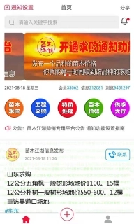 苗木江湖