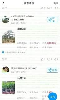 苗木江湖