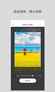 视频倒放秀