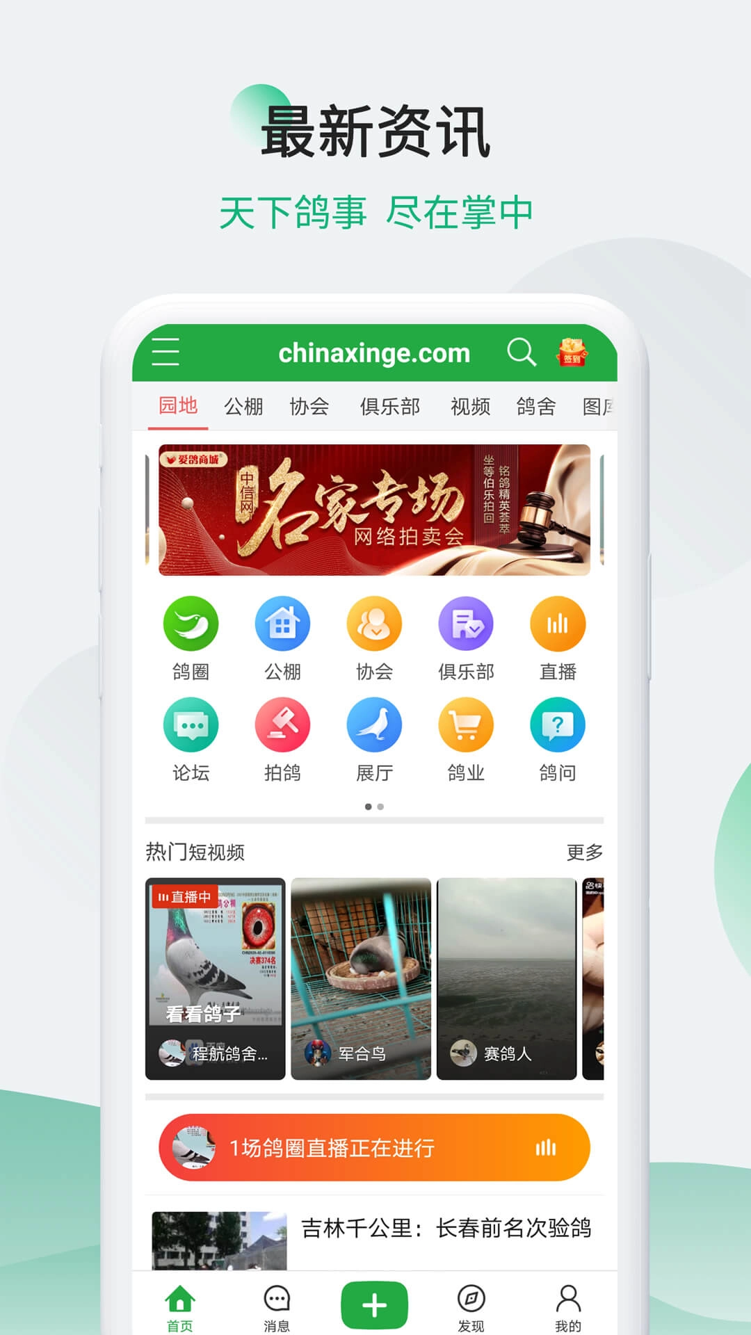 中信网-信鸽信息网