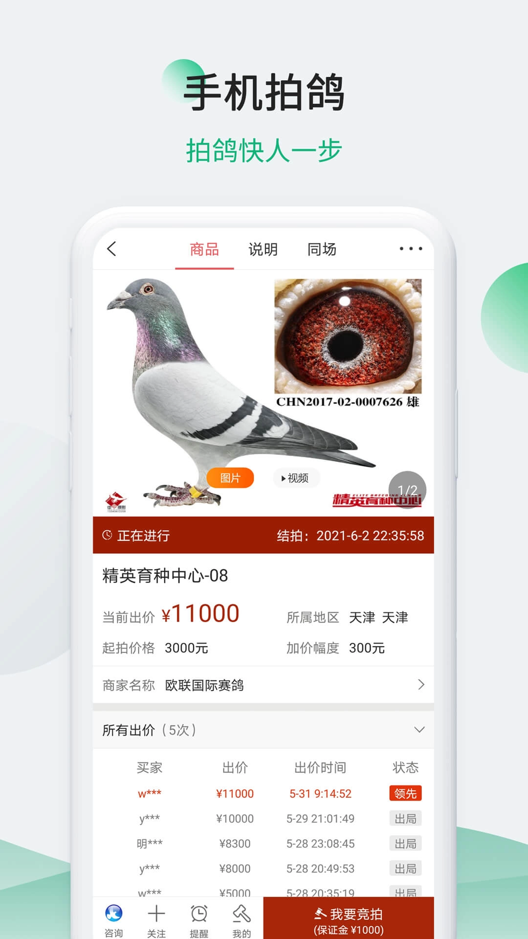 中信网-信鸽信息网