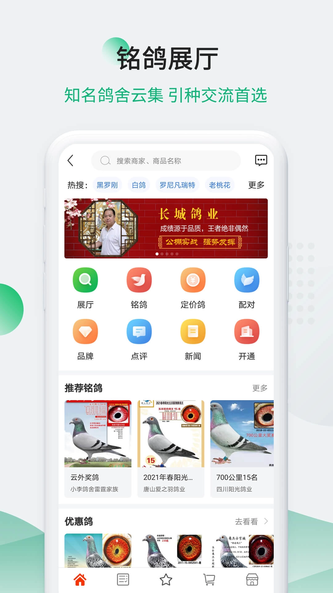 中信网-信鸽信息网