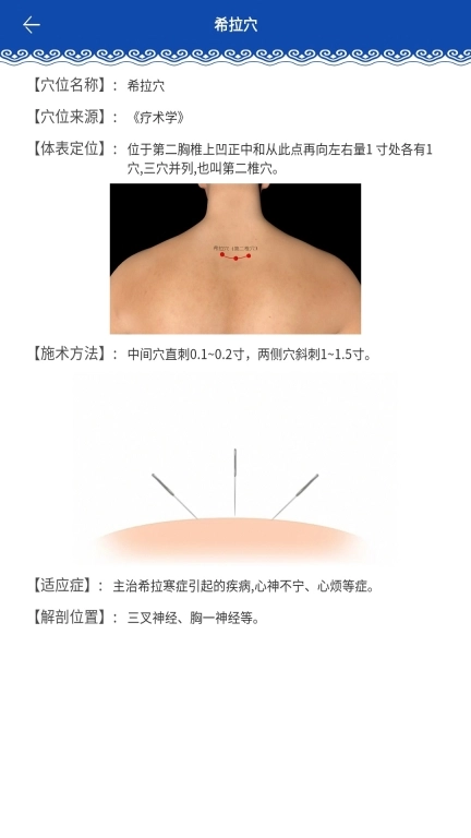 蒙医穴位标准化信息系统