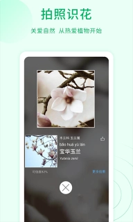 花草识别-拍照识花