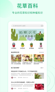 花草识别-拍照识花