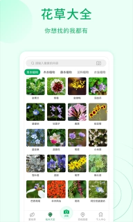花草识别-拍照识花