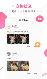 狗语翻译工具