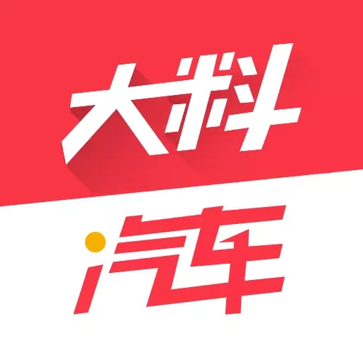 大料汽车-让汽车选择更加便利