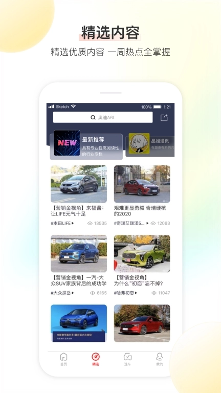 大料汽车-让汽车选择更加便利