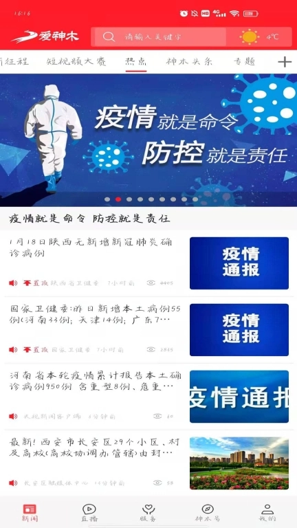 爱神木