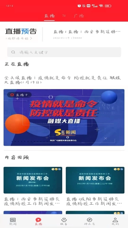 爱神木