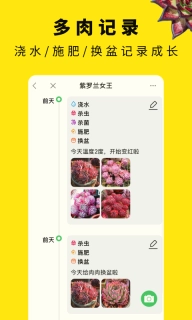 多肉圈-多肉社区