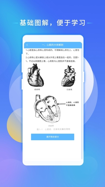 心电助手-学习心电知识