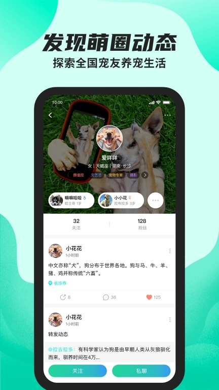 陌哈陌哈-记录宠物铲屎官的日常