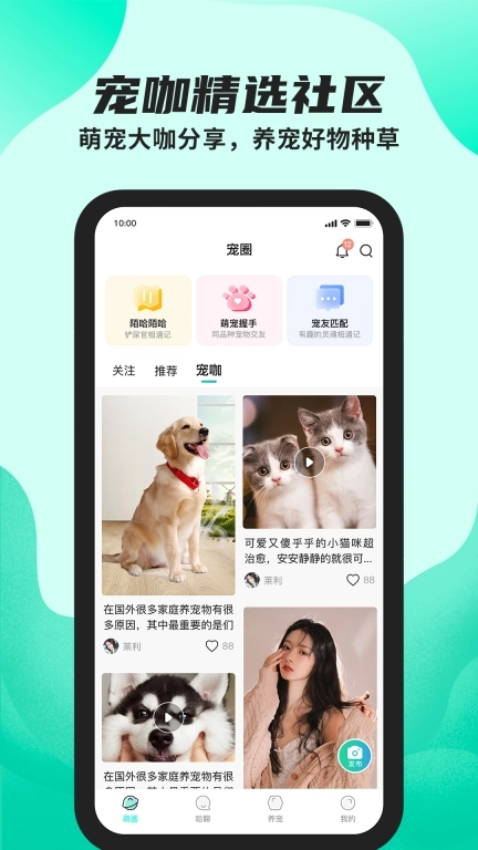 陌哈陌哈-记录宠物铲屎官的日常