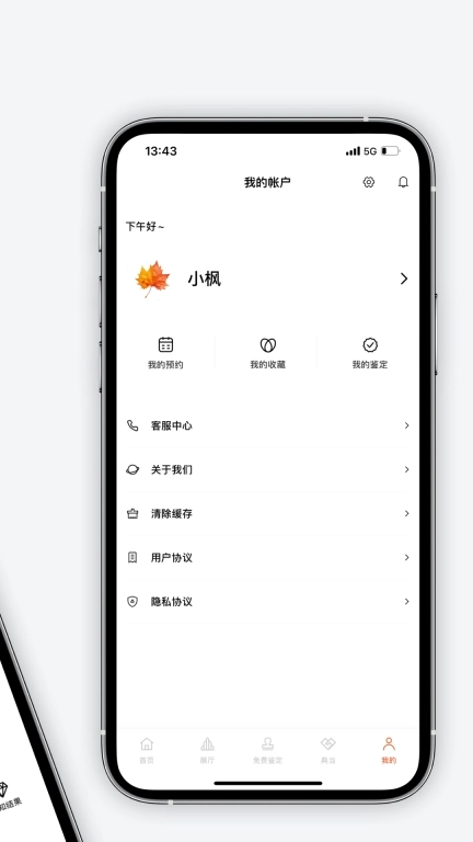 炳炳其章
