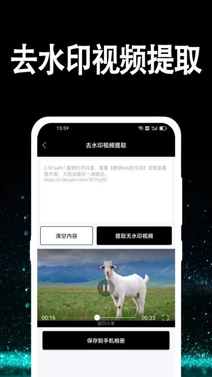 视频提取大师-去水印处理
