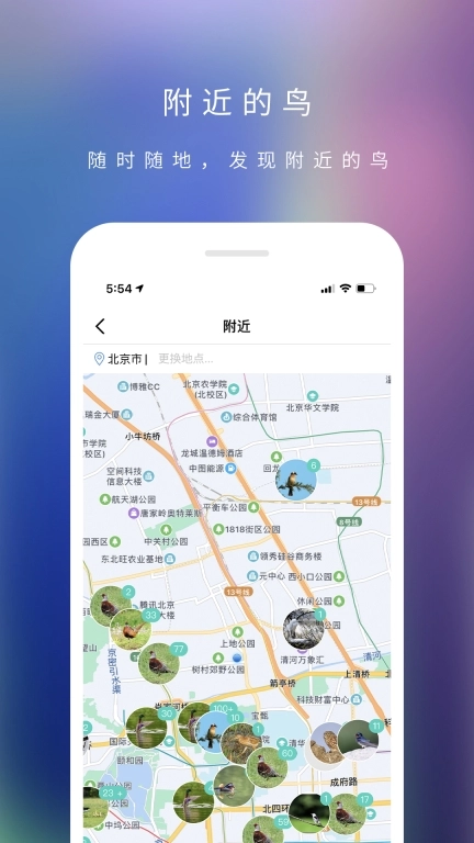 爱鸟