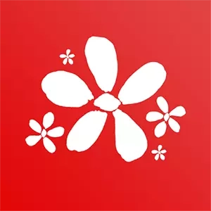 路灯花-幼师的家