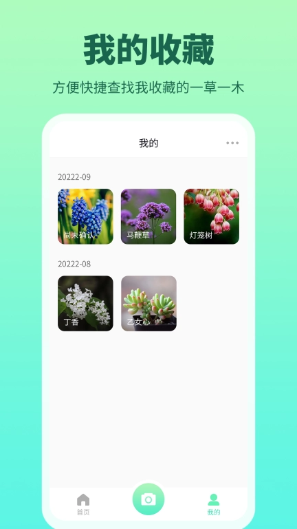 花多多-拍照识花植物识别