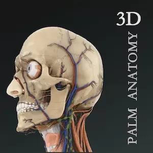掌上3D解剖-中医断层刷题名师课