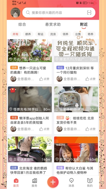 懒洋葱