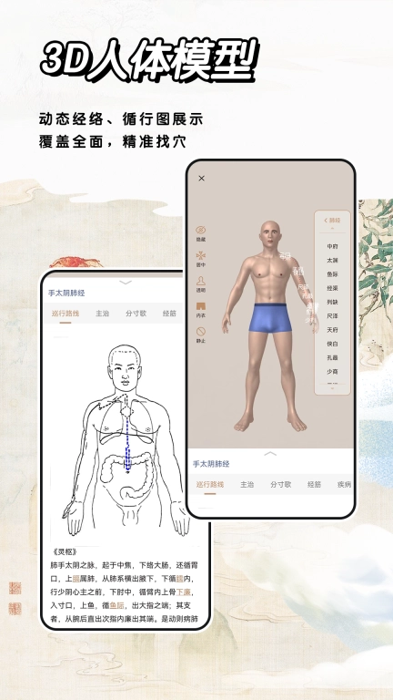 经络穴位标准指南