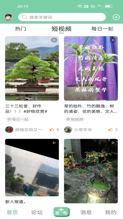 千盆-盆景艺术在线客户端
