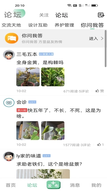 千盆-盆景艺术在线客户端
