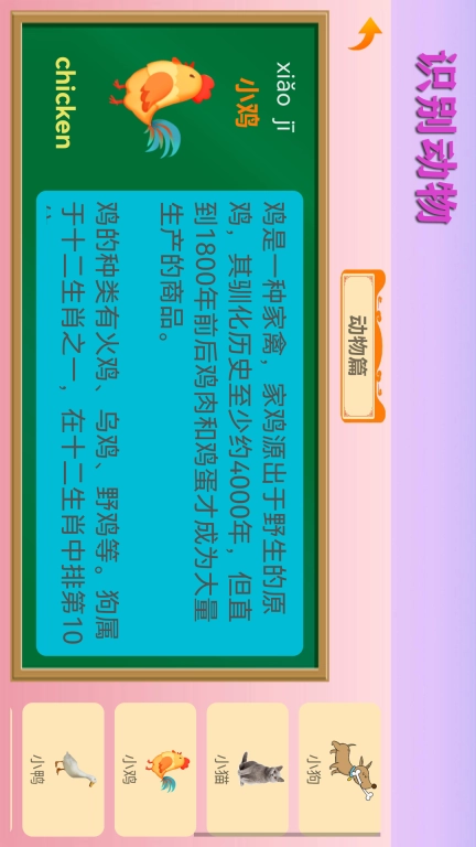 宝宝识物